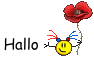 hallo